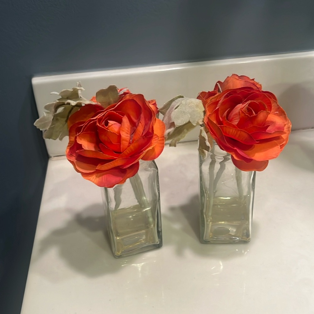 Roses In Vases